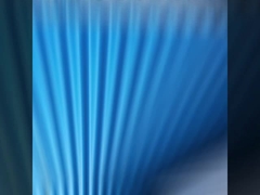 Plastic het dakblad van pvc